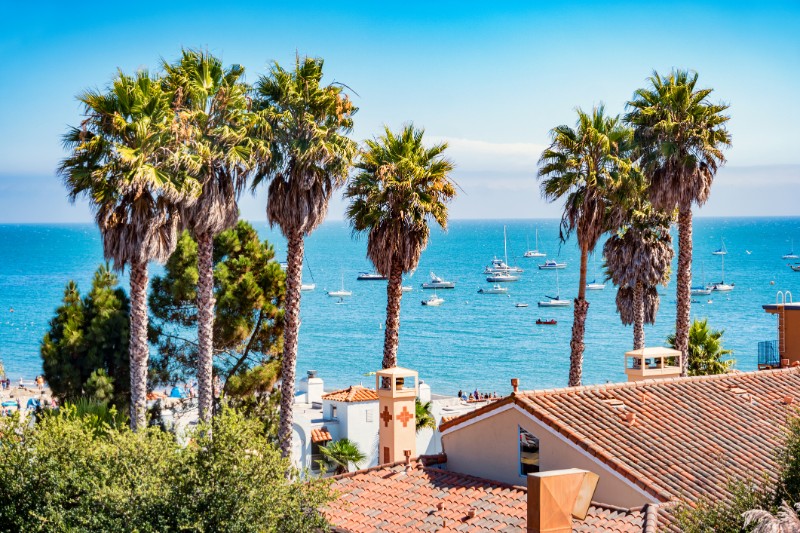 Beautiful homes in front of the waters in Santa Cruz